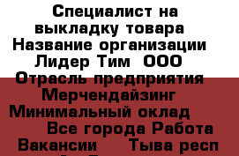 Специалист на выкладку товара › Название организации ­ Лидер Тим, ООО › Отрасль предприятия ­ Мерчендайзинг › Минимальный оклад ­ 30 000 - Все города Работа » Вакансии   . Тыва респ.,Ак-Довурак г.